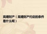 離婚財產(chǎn)（離婚財產(chǎn)約定的條件是什么呢）
