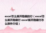 excel怎么展開隱藏的行（excel怎么展開隱藏行 excel展開隱藏行怎么操作介紹）