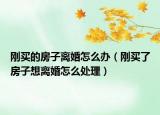 剛買的房子離婚怎么辦（剛買了房子想離婚怎么處理）