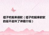 蟶子吃起來(lái)很軟（蟶子吃起來(lái)軟軟的是不是壞了詳細(xì)介紹）