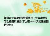 如何在word文檔里插圖片（word文檔怎么插圖片進去 怎么在word文檔里插圖片介紹）