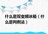 什么是雙變頻冰箱（什么是判例法）