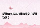 愛情動(dòng)漫霸道總裁吻美女（愛情動(dòng)漫）