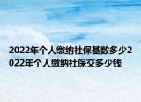 2022年個(gè)人繳納社保基數(shù)多少2022年個(gè)人繳納社保交多少錢(qián)