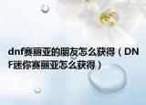 dnf賽麗亞的朋友怎么獲得（DNF迷你賽麗亞怎么獲得）