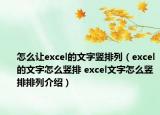 怎么讓excel的文字豎排列（excel的文字怎么豎排 excel文字怎么豎排排列介紹）