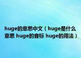huge的意思中文（huge是什么意思 huge的音標 huge的用法）