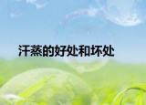 汗蒸的好處和壞處