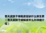 春天皮膚干燥起皮是缺什么維生素（春天皮膚干燥起皮怎么辦詳細(xì)介紹）