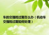 車的交強(qiáng)險(xiǎn)過期怎么辦（機(jī)動(dòng)車交強(qiáng)險(xiǎn)過期如何處理）