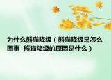 為什么熊貓降級（熊貓降級是怎么回事  熊貓降級的原因是什么）