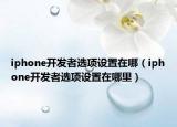 iphone開發(fā)者選項(xiàng)設(shè)置在哪（iphone開發(fā)者選項(xiàng)設(shè)置在哪里）