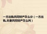 一方出軌共同財(cái)產(chǎn)怎么分（一方出軌,夫妻共同財(cái)產(chǎn)怎么判）