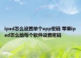 ipad怎么設置單個app密碼 蘋果ipad怎么給每個軟件設置密碼