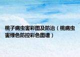 桃子病蟲害彩圖及防治（桃病蟲害綠色防控彩色圖譜）
