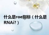 什么是roe指標（什么是RNAi?）