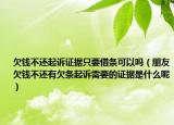 欠錢不還起訴證據只要借條可以嗎（朋友欠錢不還有欠條起訴需要的證據是什么呢）