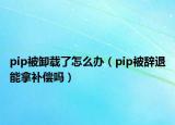 pip被卸載了怎么辦（pip被辭退能拿補償嗎）