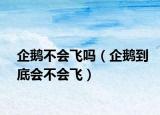 企鵝不會飛嗎（企鵝到底會不會飛）