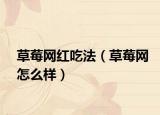 草莓網(wǎng)紅吃法（草莓網(wǎng)怎么樣）