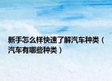 新手怎么樣快速了解汽車種類（汽車有哪些種類）