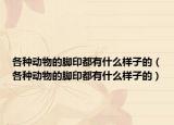 各種動物的腳印都有什么樣子的（各種動物的腳印都有什么樣子的）