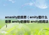 amenity的意思（amity是什么意思 amity的音標 amity的用法）