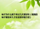柚子為什么摘下來過幾天更好吃（剛摘的柚子要放多久才會(huì)變甜詳細(xì)介紹）