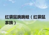 紅袋鼠跳跳蛙（紅袋鼠家族）
