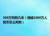 500萬判刑幾年（燒掉1000萬人民幣怎么判刑）