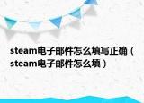 steam電子郵件怎么填寫正確（steam電子郵件怎么填）