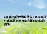 stocking的音標是什么（stocks是什么意思 stocks的音標 stocks的用法）