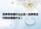 撫養(yǎng)費(fèi)依據(jù)什么認(rèn)定（撫養(yǎng)費(fèi)支付的依據(jù)是什么）