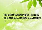ideal是什么意思啊英語（ideal是什么意思 ideal的音標(biāo) ideal的用法）
