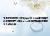 受保護(hù)的視圖怎么取消excel中（excel中受保護(hù)的視圖應(yīng)該怎么解除 excel受保護(hù)的視圖在哪里怎么解除介紹）