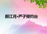 酹江月·嚴(yán)子陵釣臺(tái)