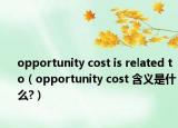 opportunity cost is related to（opportunity cost 含義是什么?）