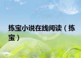 揀寶小說在線閱讀（揀寶）