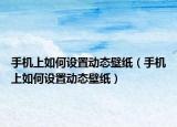 手機(jī)上如何設(shè)置動態(tài)壁紙（手機(jī)上如何設(shè)置動態(tài)壁紙）