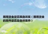 挪用資金是否屬自訴案（挪用資金的案件是否是自訴案件）