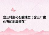 含三葉蟲(chóng)化石的地層（含三葉蟲(chóng)化石的地層是在）