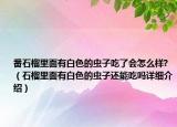 番石榴里面有白色的蟲子吃了會(huì)怎么樣?（石榴里面有白色的蟲子還能吃嗎詳細(xì)介紹）