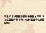蘋果12怎樣截圖手機(jī)屏幕截圖（蘋果12怎么截圖屏幕 蘋果12如何截圖手機(jī)屏幕介紹）