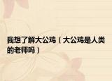 我想了解大公雞（大公雞是人類的老師嗎）