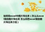 如何將excel中圖片導(dǎo)出來（怎么從excel里的圖片導(dǎo)出來 怎么樣把excel里的圖片導(dǎo)出來介紹）