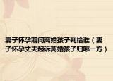妻子懷孕期間離婚孩子判給誰（妻子懷孕丈夫起訴離婚孩子歸哪一方）