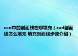 cad中的剖面線在哪填充（cad剖面線怎么填充 填充剖面線步驟介紹）