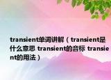 transient單詞講解（transient是什么意思 transient的音標(biāo) transient的用法）