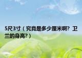 5尺3寸（究竟是多少厘米啊?  衛(wèi)蘭的身高?）