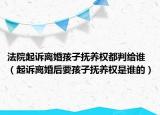 法院起訴離婚孩子撫養(yǎng)權(quán)都判給誰（起訴離婚后要孩子撫養(yǎng)權(quán)是誰的）